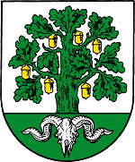 Wappen der Stadt Bergen (Celle)